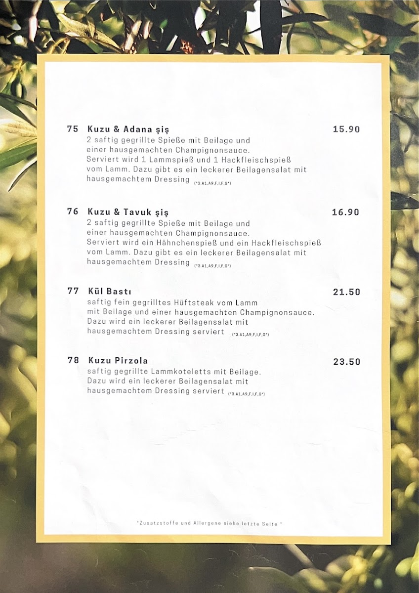 Menu Elit Mannheim - Türkisches Restaurant | Frühstück | Shisha-7