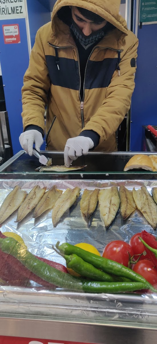 Şen Balıkçılık-6