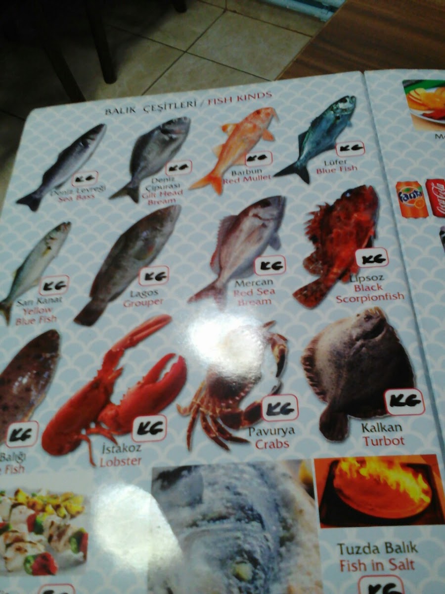 Menu Şen Balıkçılık-4