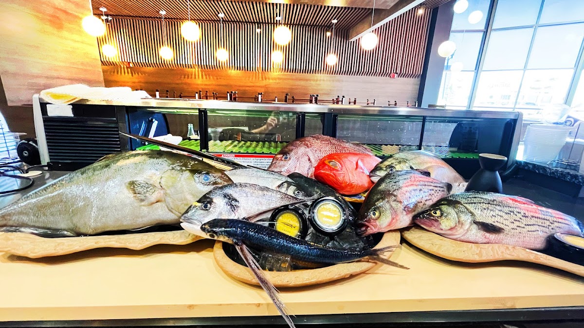 Enso Sushi & Grill-3