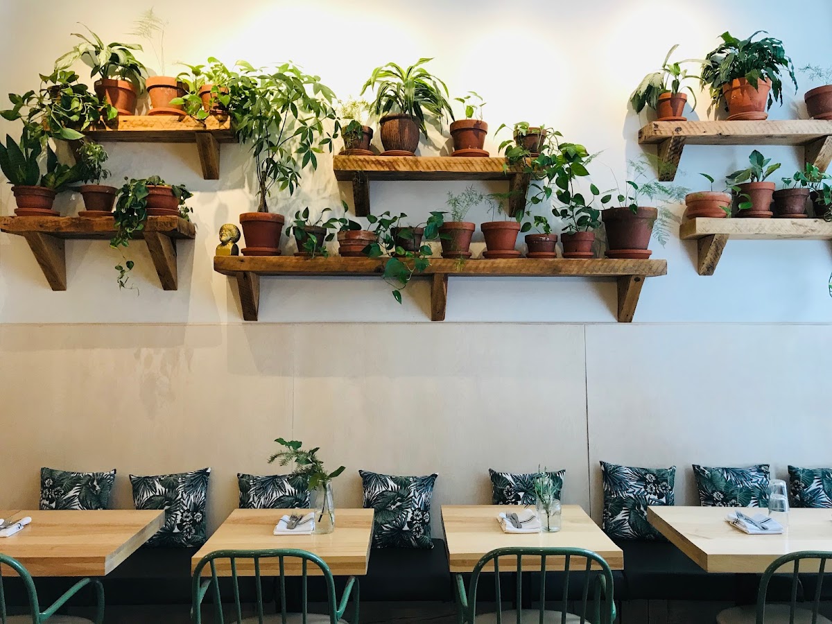 Épi, Buvette De Quartier