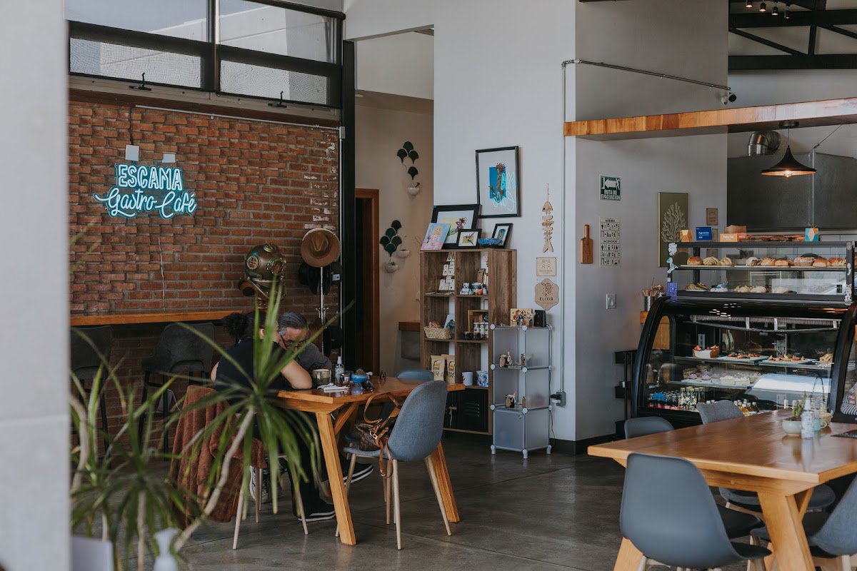 Escama Gastro.cafe