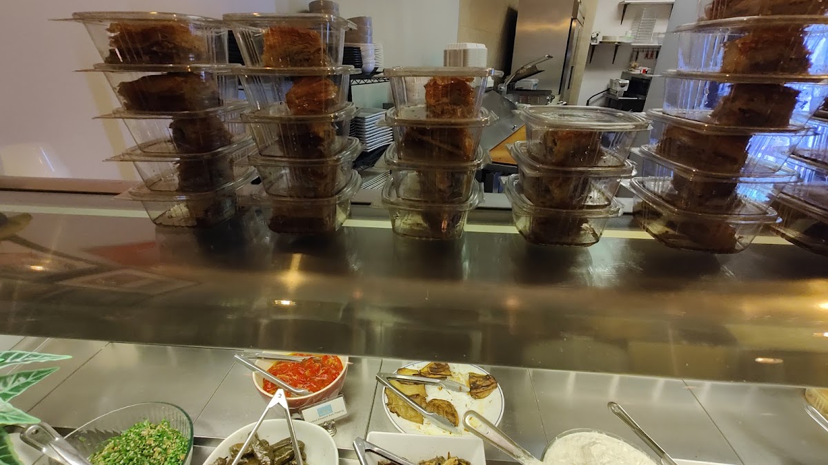 Esperia Grill-5