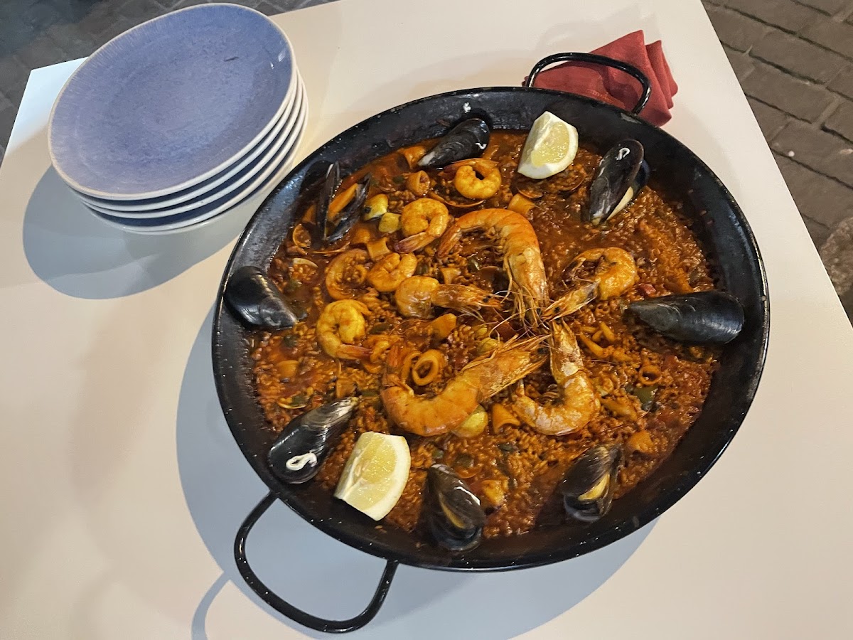 Essentia Gourmet-4