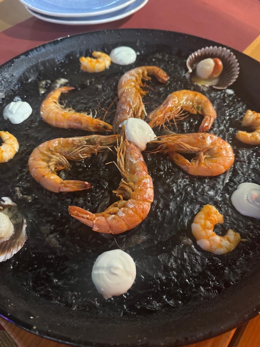 Essentia Gourmet-8