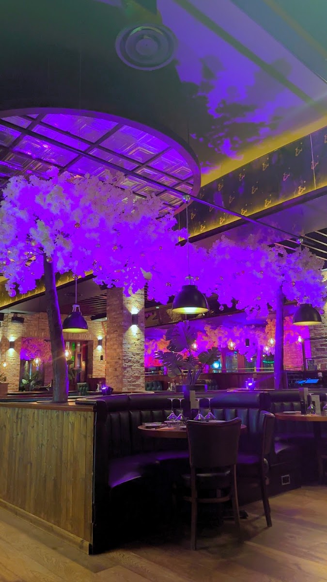 Estabulo Rodizio Bar & Grill - Norwich-3