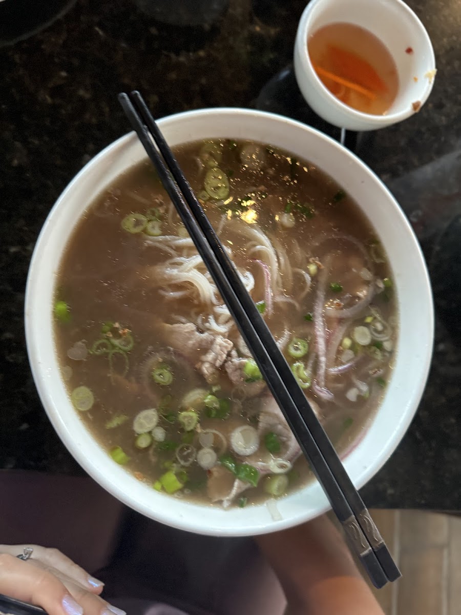Fabulous Pho Vietnamese Restaurant-5