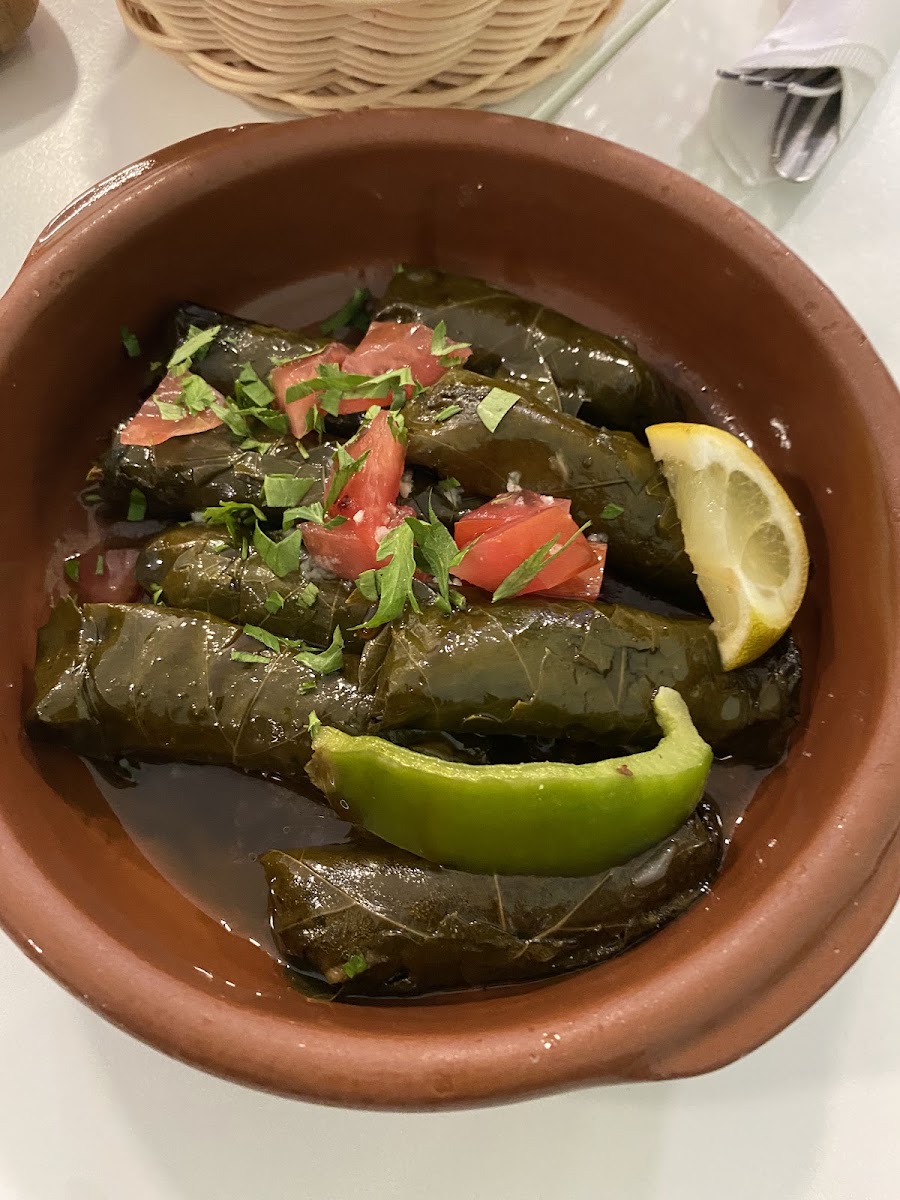 Falafel En Hummus-9