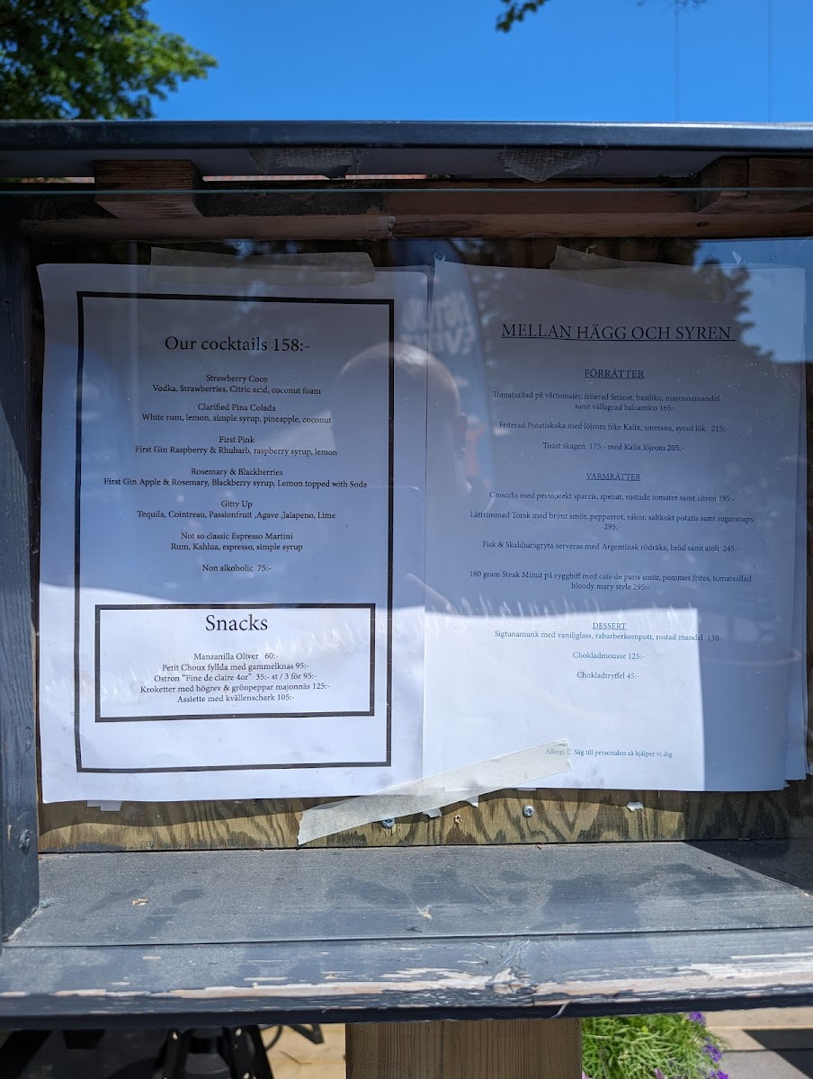Menu Farbror Blå-9