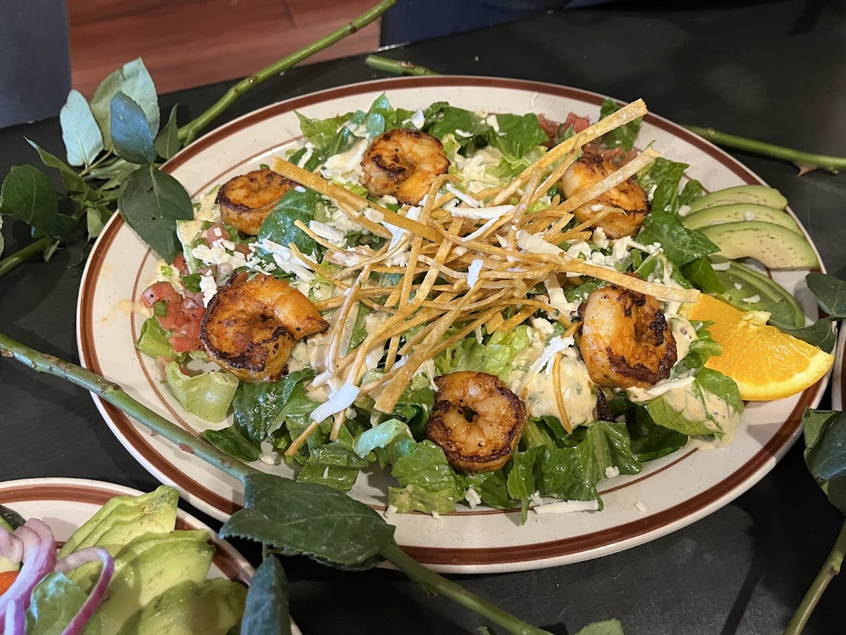 Fiesta Bowl Sabor Latino-6