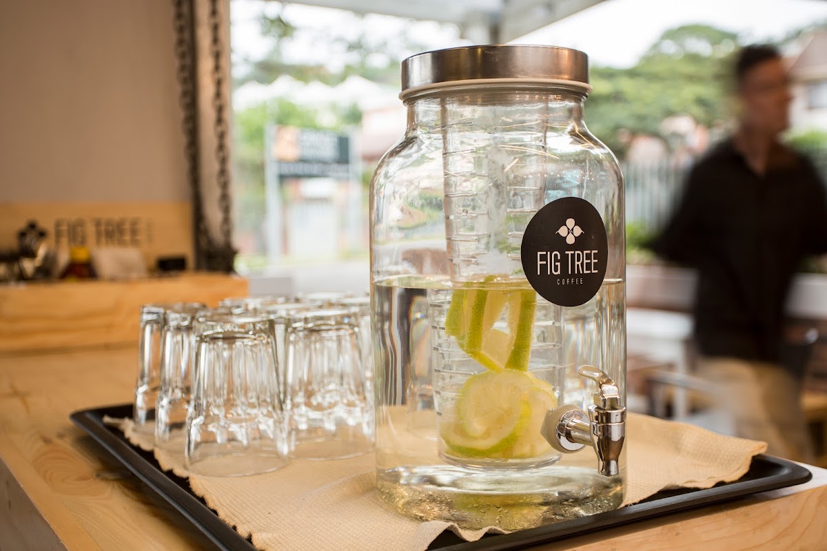 Fig Tree Coffee-2
