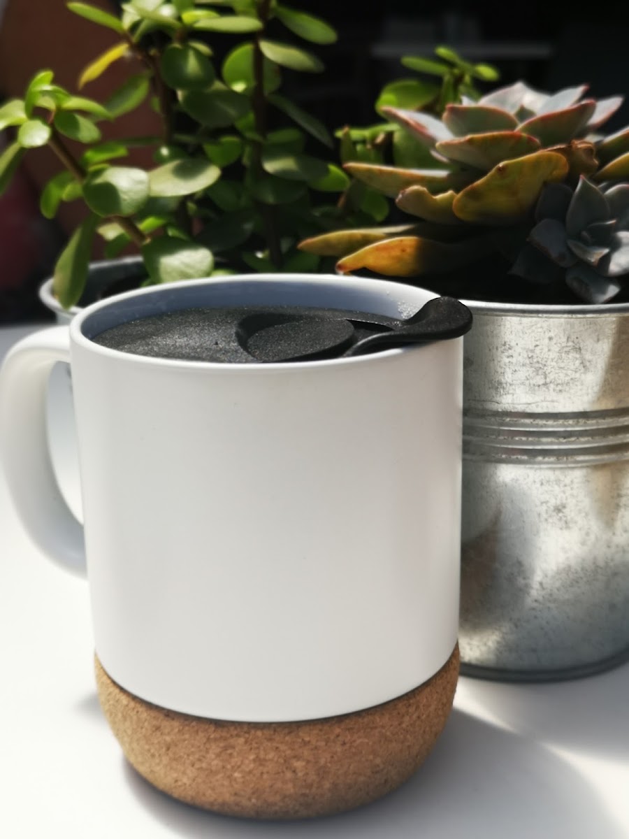 Fig Tree Coffee-6