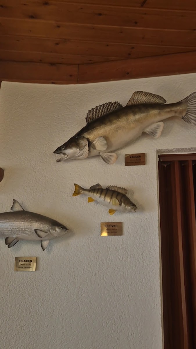 Fischerstüble Friedrichshafen-2
