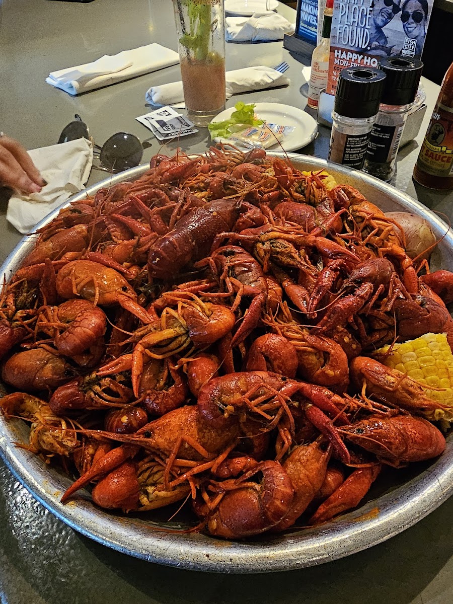 Fish City Grill - Northwoods-9