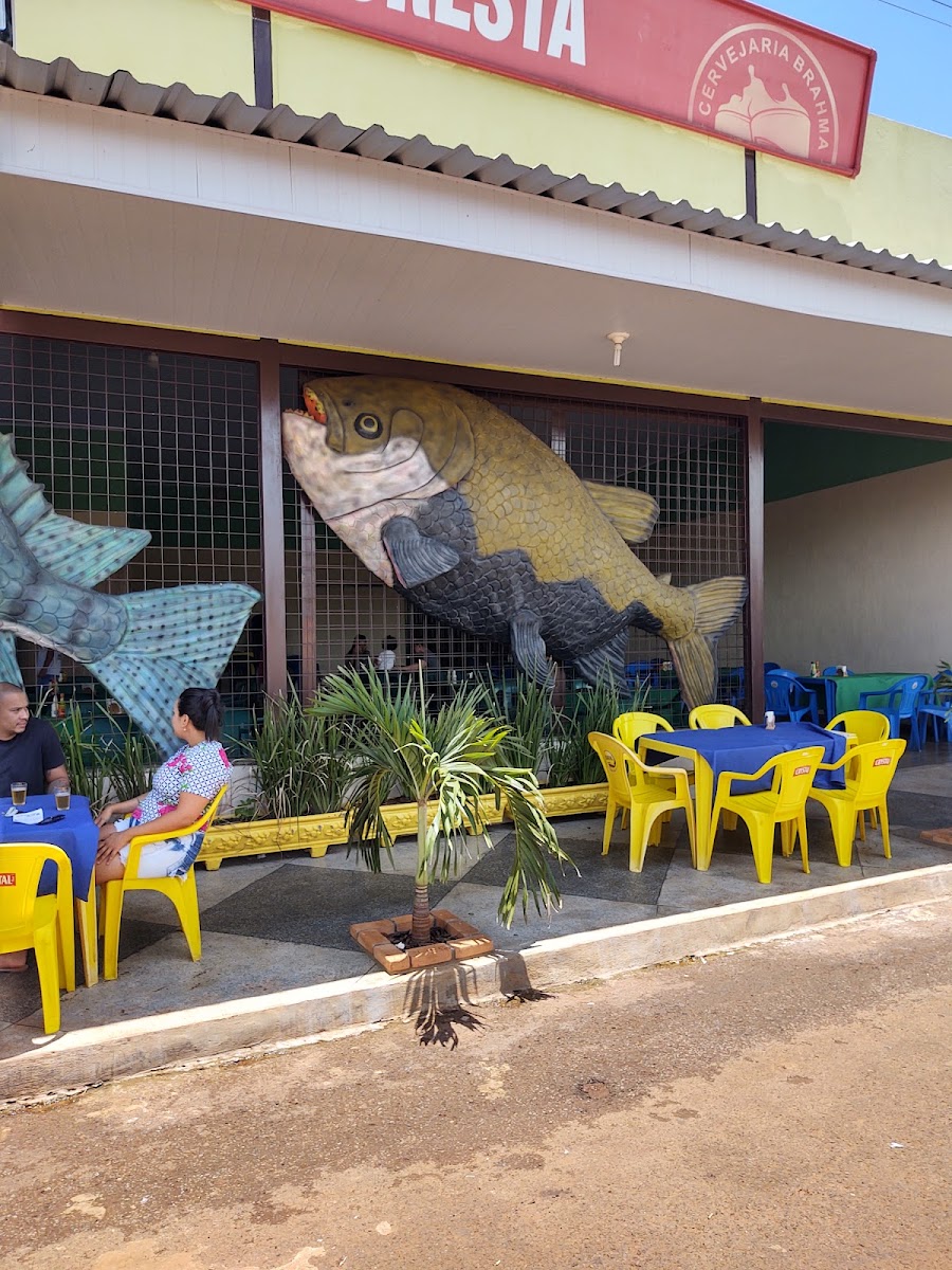 Floresta Bar Arapora
