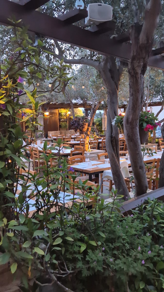 Forsos Tavern-2