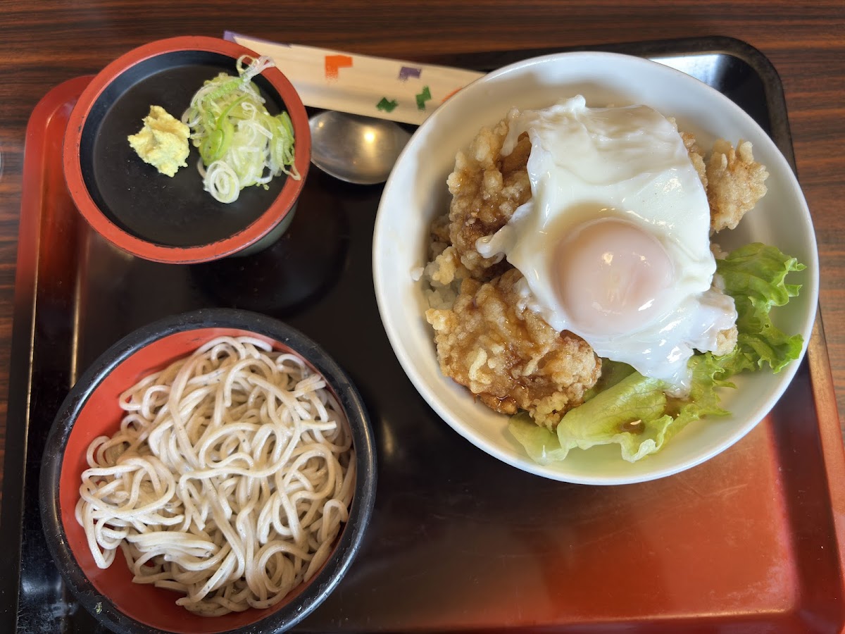Fudemura Hakodate Goryokaku-4