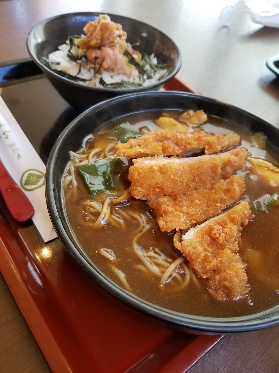 Fudemura Hakodate Goryokaku-5