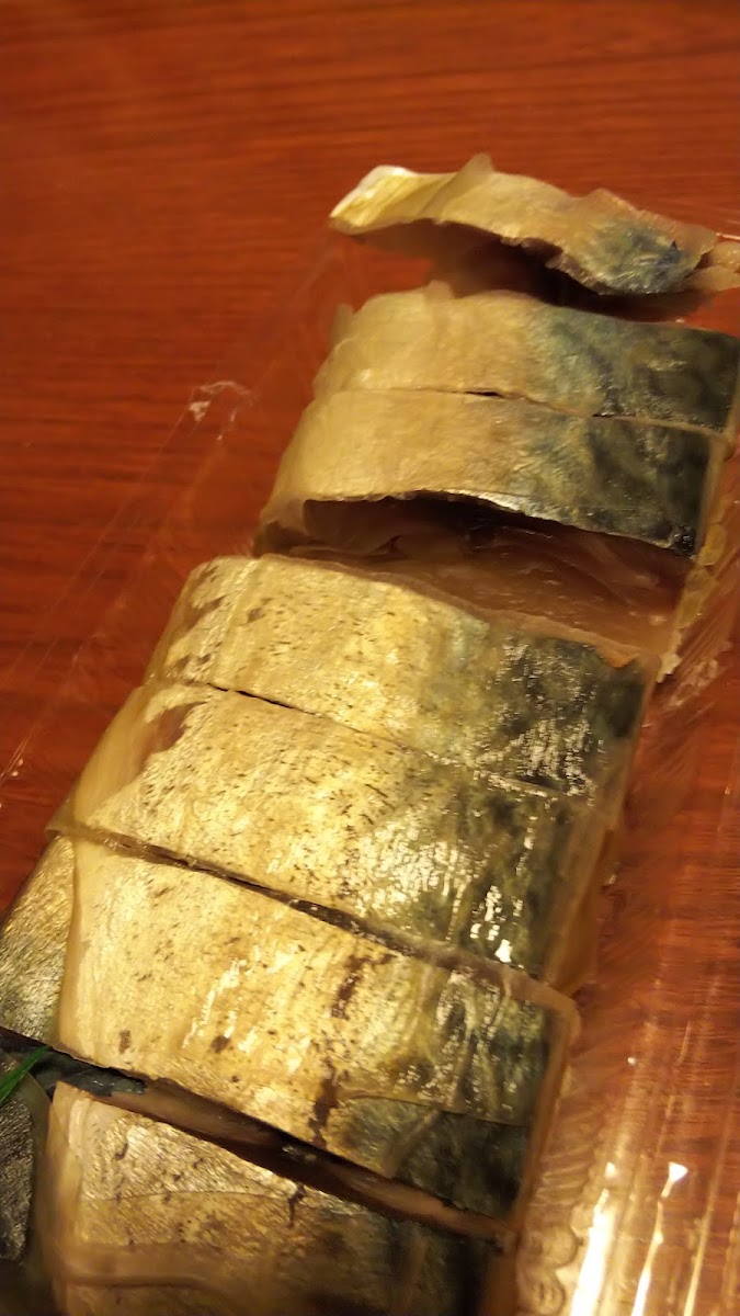 Fukuroku Sushi-10