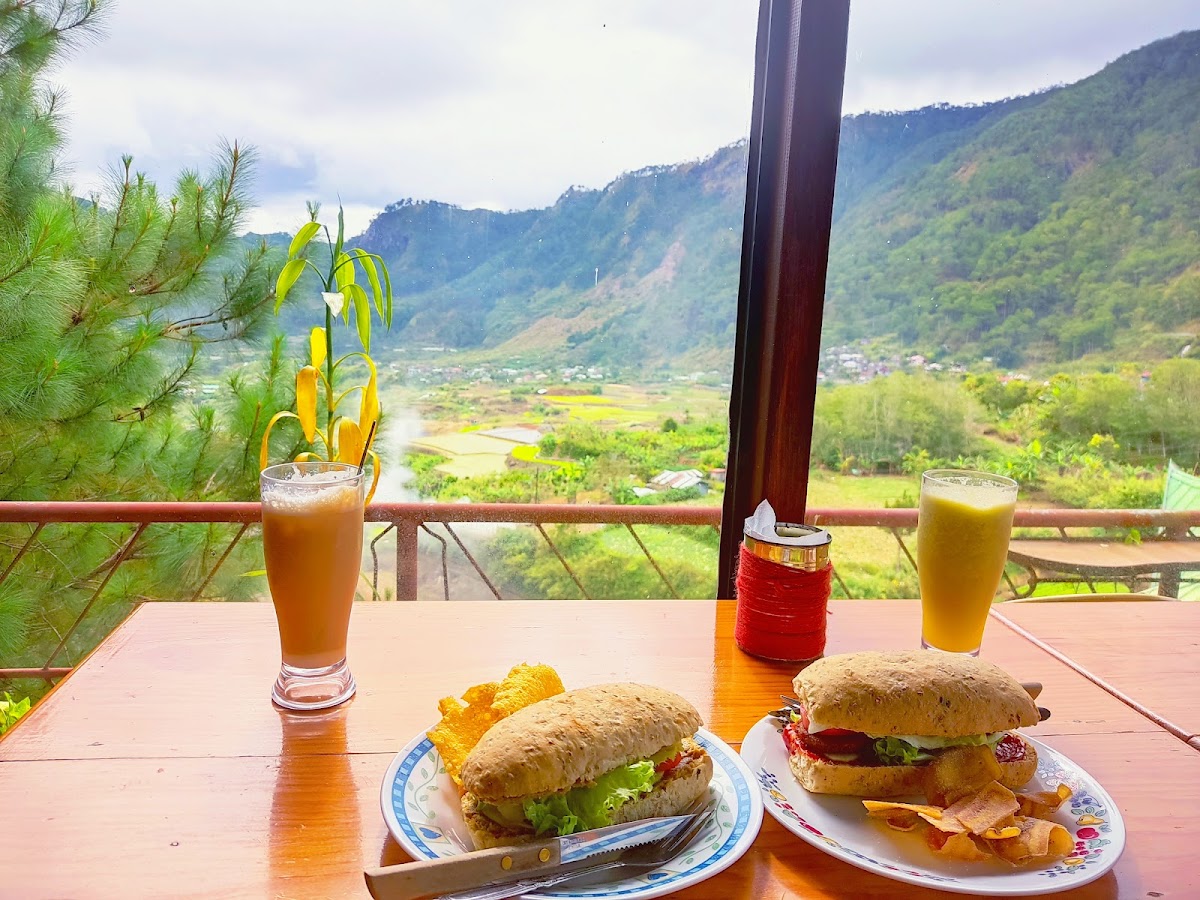 Gaia Cafe-4