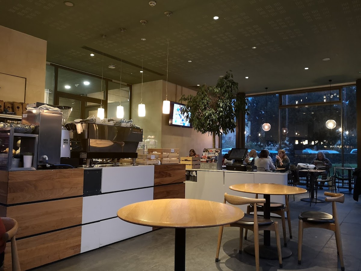 Garden Cafe - Holburne Museum