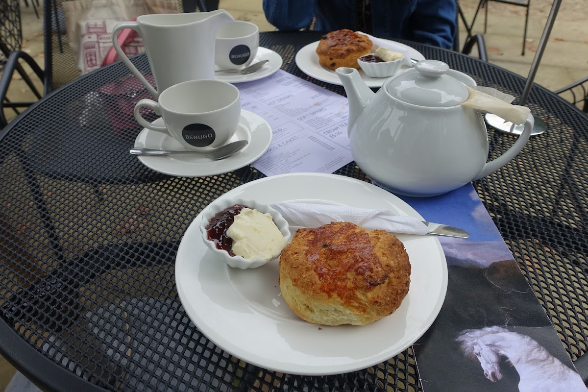 Garden Cafe - Holburne Museum-7