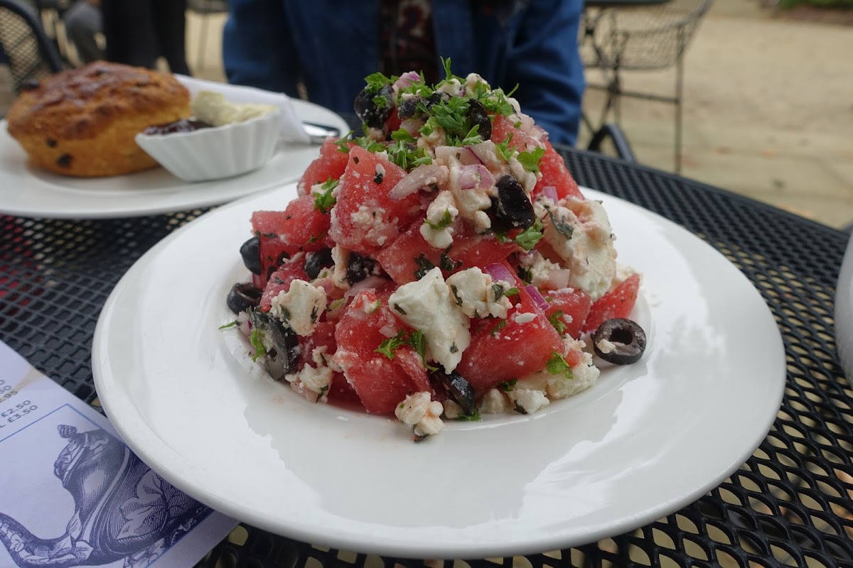 Garden Cafe - Holburne Museum-9