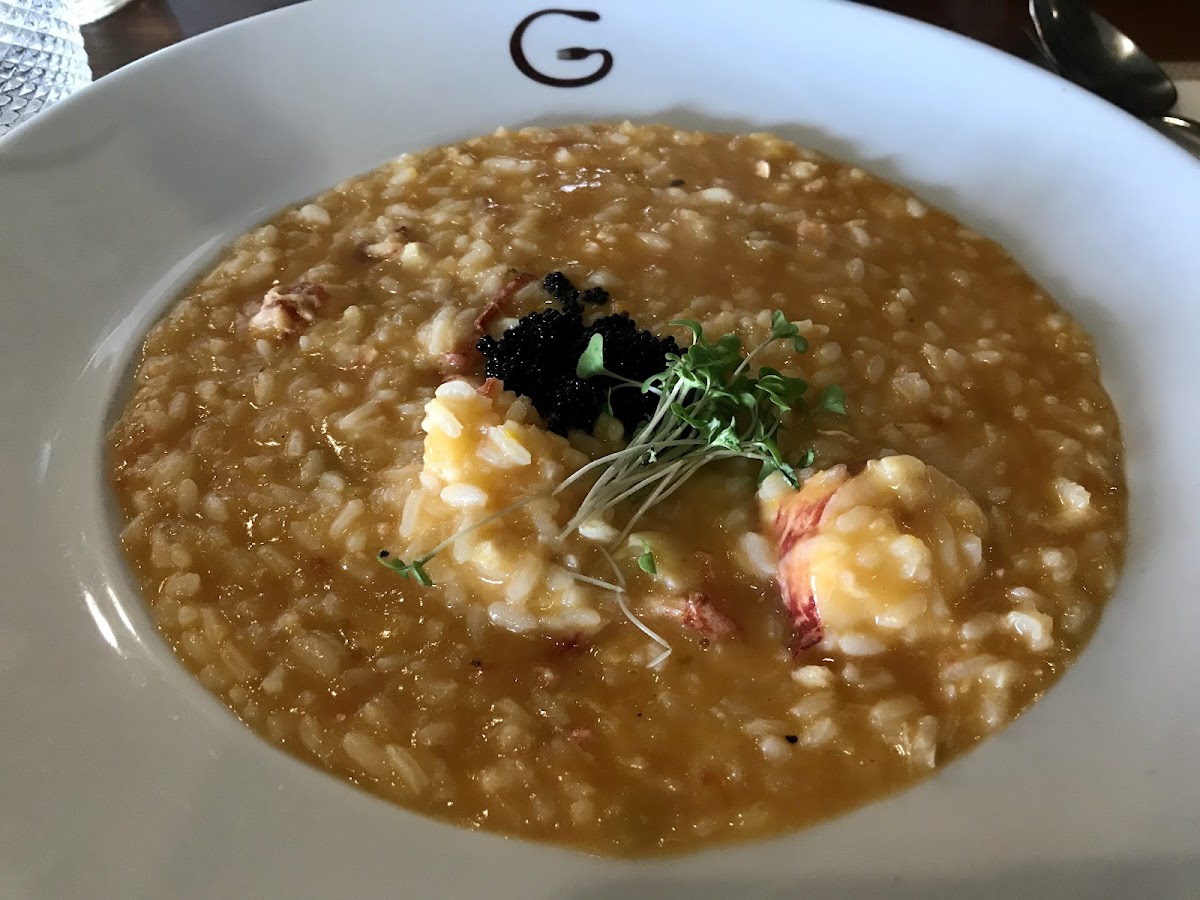 Garfo Torto-8