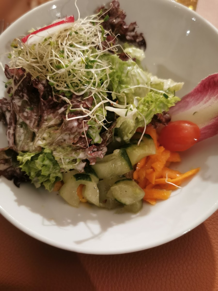 Gastro Lago Mio Gmbh - Pizzeria Ristorante-5