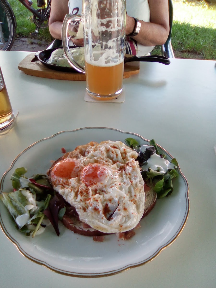 Gaststätte Germania Bischhausen-9
