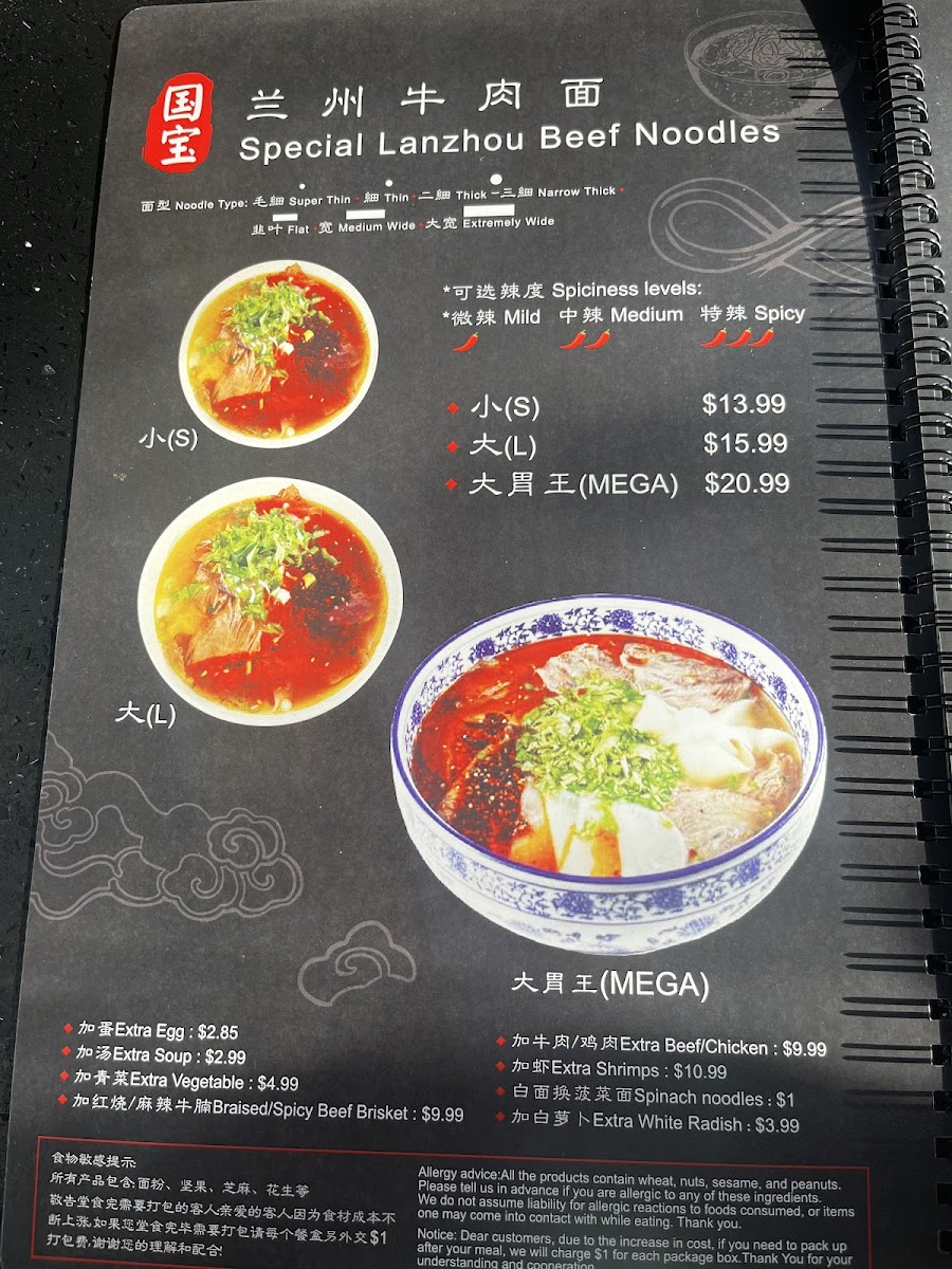Gb Hand-Pulled Noodles Menu-9
