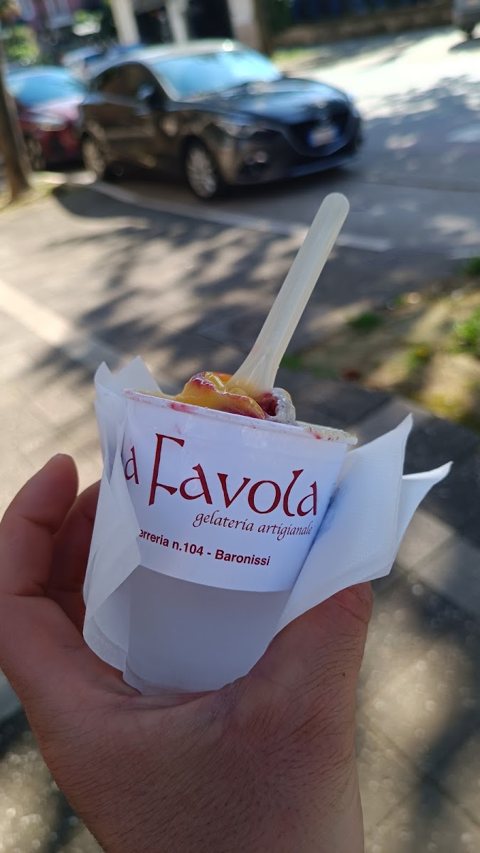 Gelateria Fable Baronissi-6