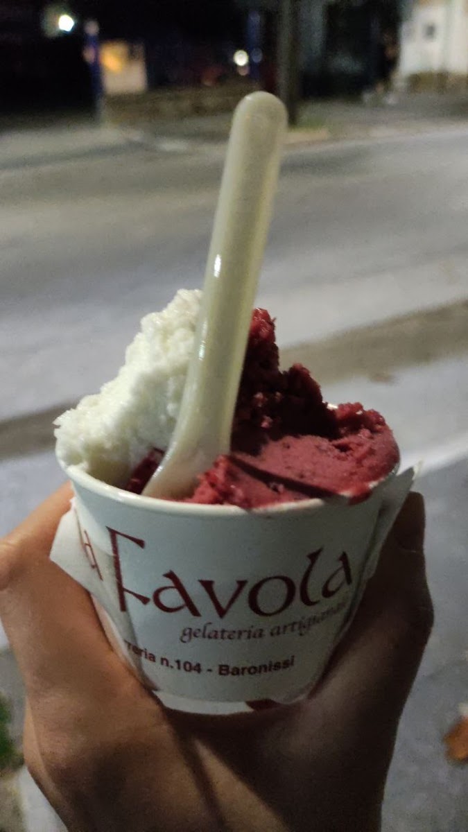 Gelateria Fable Baronissi-7