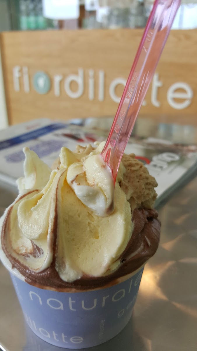 Gelateria Fiordilatte-5