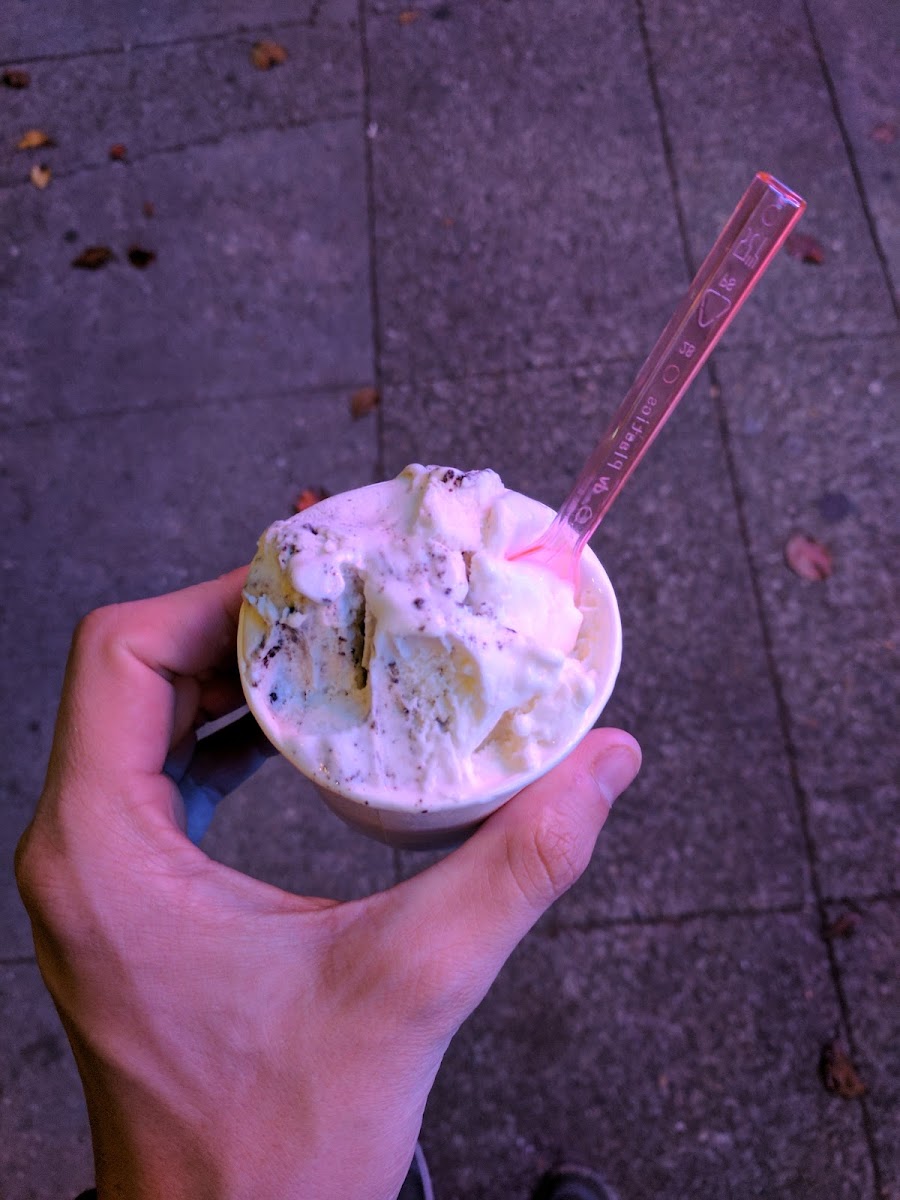 Gelato Firenze-5