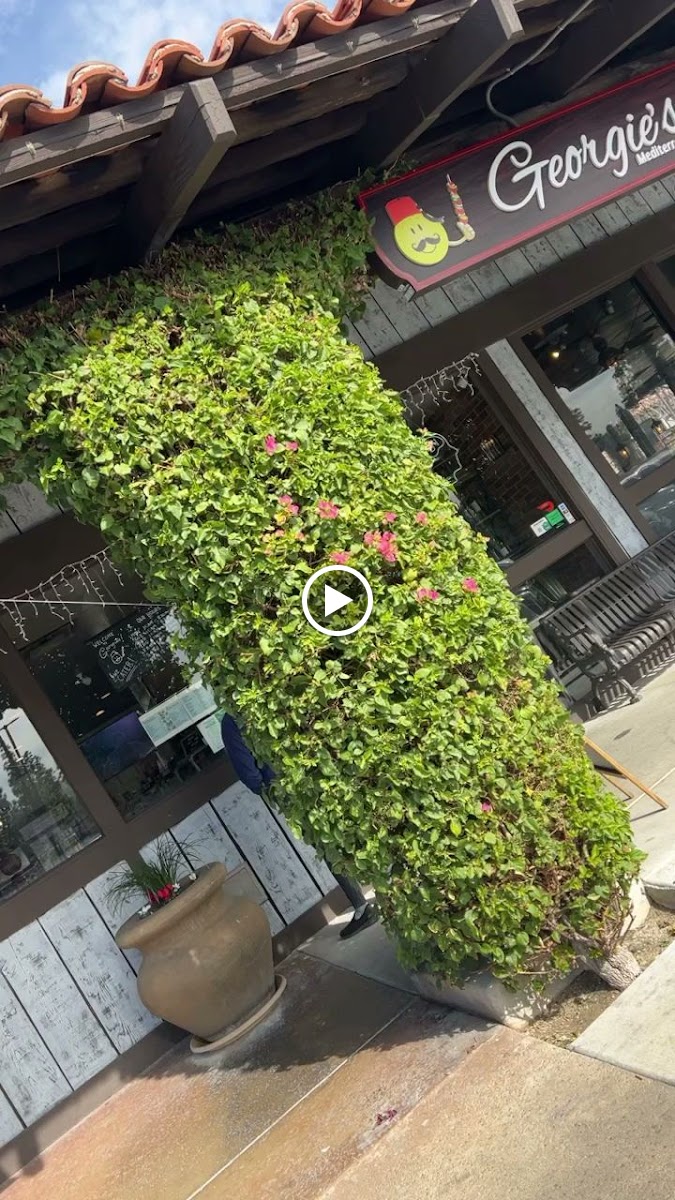 Georgie's Mediterranean Cuisine-2