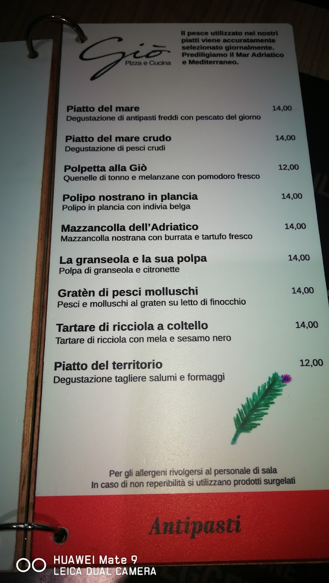 Menu Giò Pizza E Cucina-10