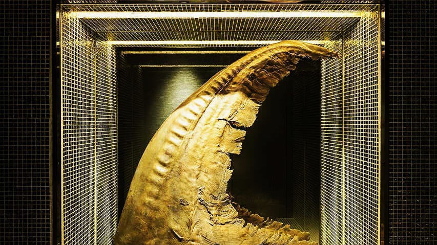 Gold Fin Kamonka Shimbashi-4