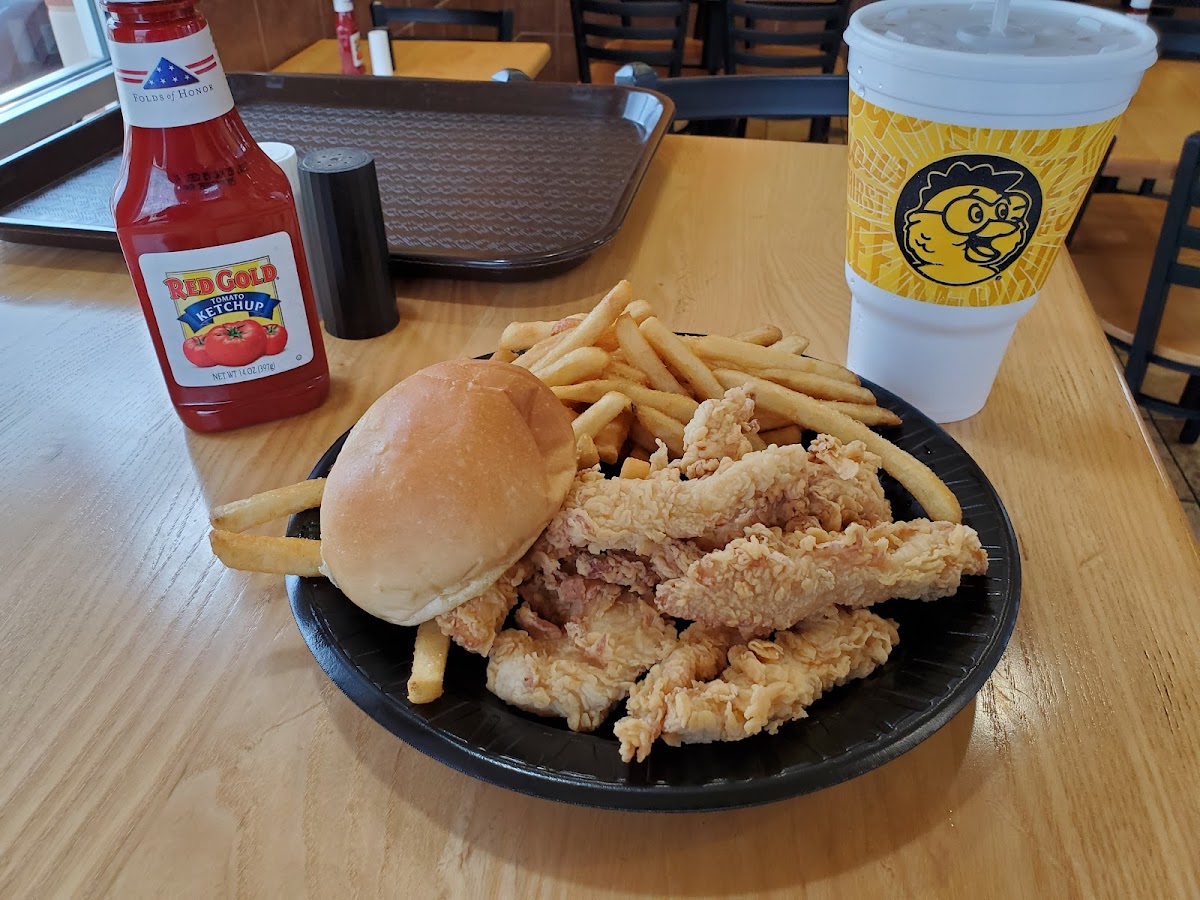 Golden Chick-8