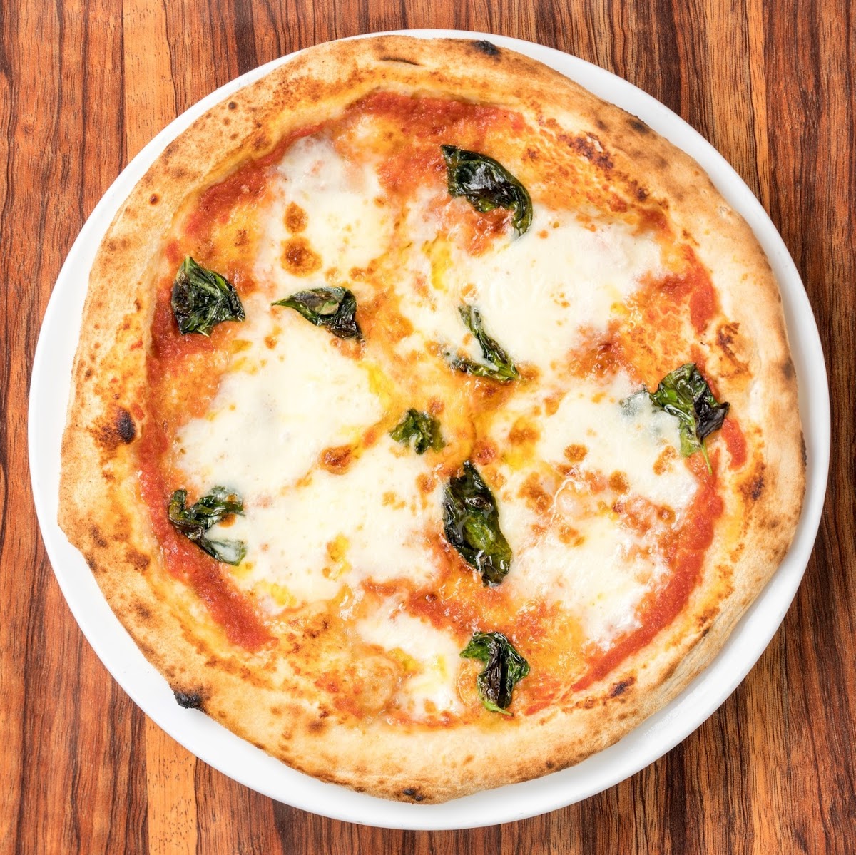 Golden Italian-6