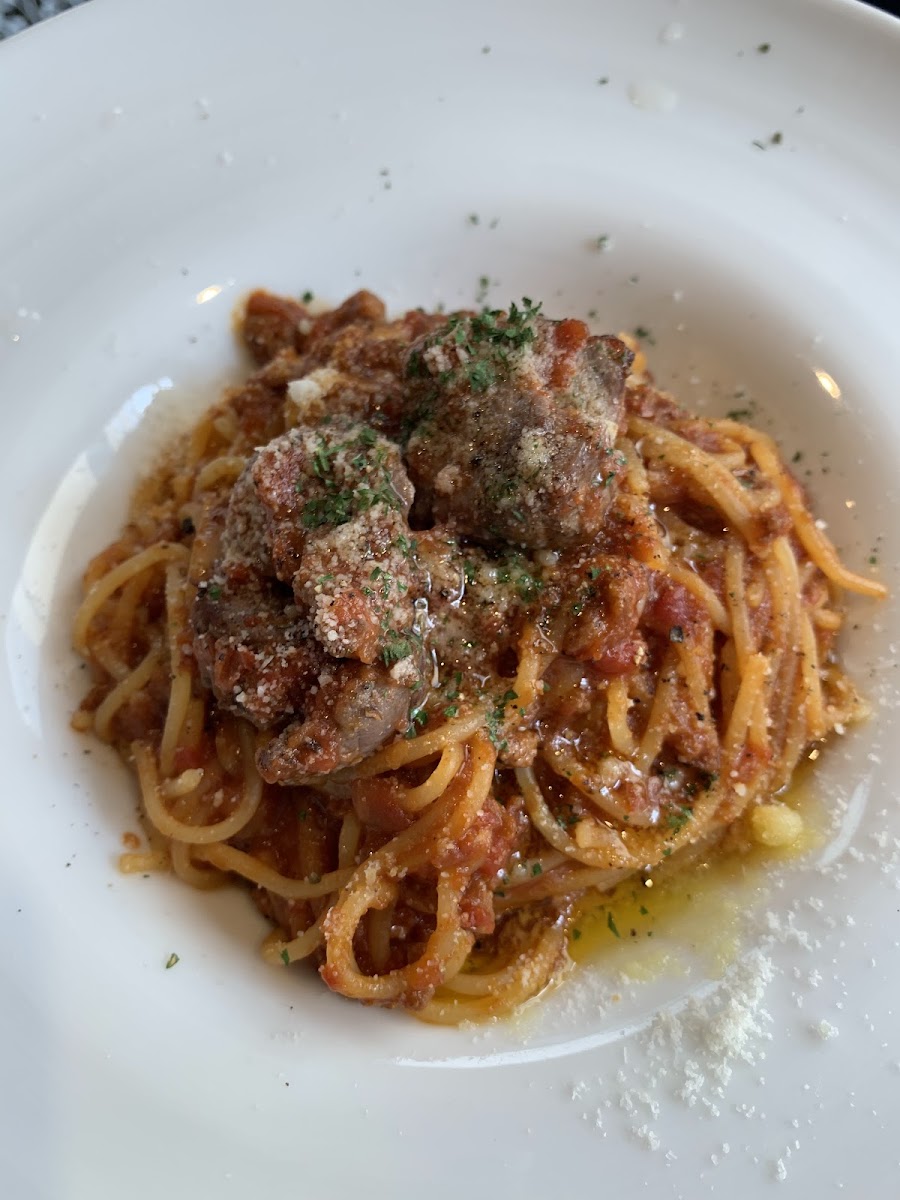 Golden Italian-9