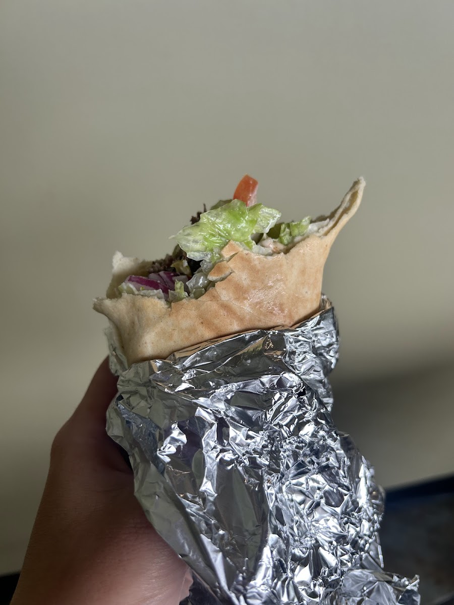 Golden Pita-4