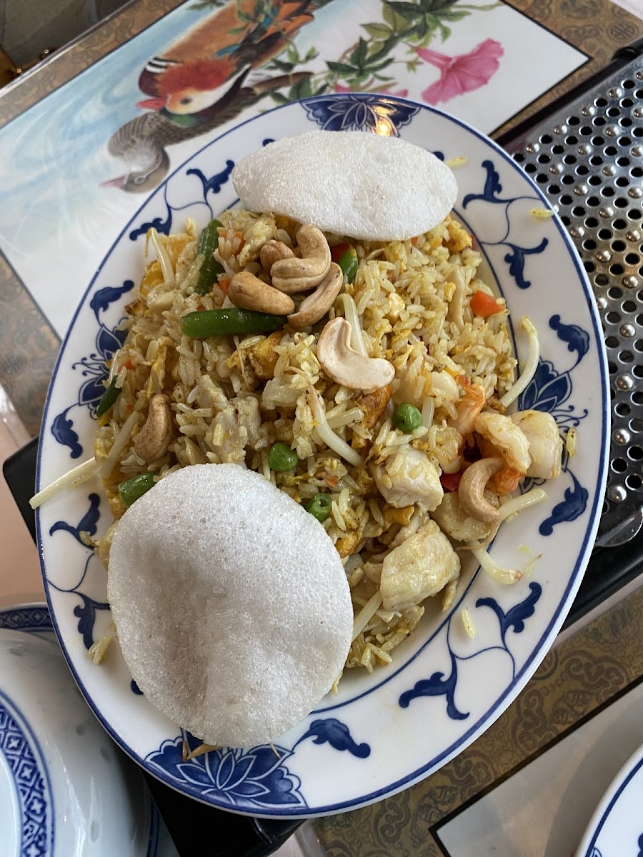 Goldene Pekingente-5