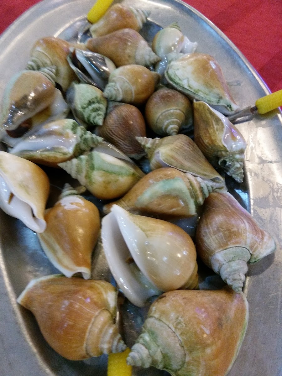 Good View Seafood Restaurant-8
