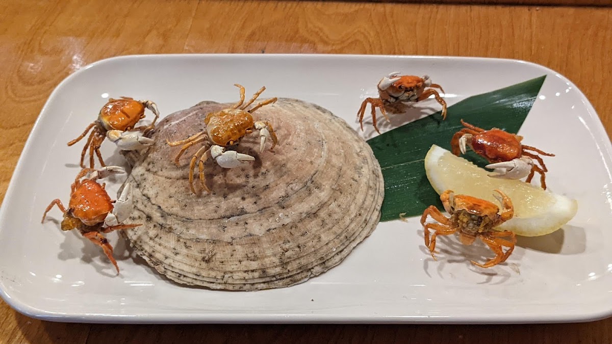 Goshi Japanese Restaurant-7