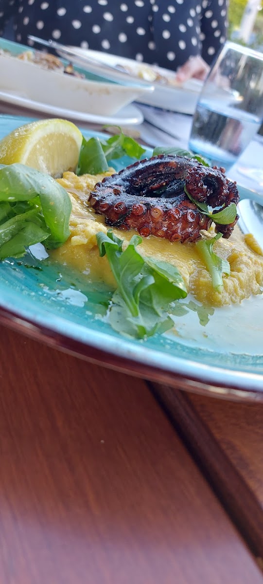 Gourmet Taverna-10