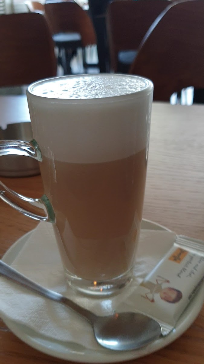 Greco Cafe-8