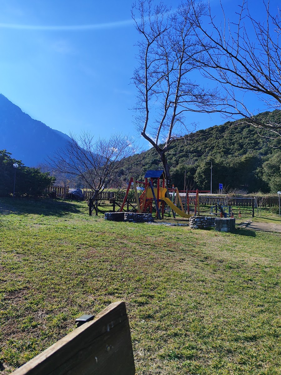 Green Cafe-4