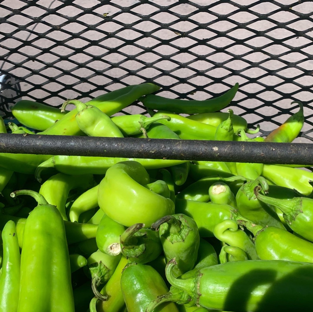 Green Chile Love-6