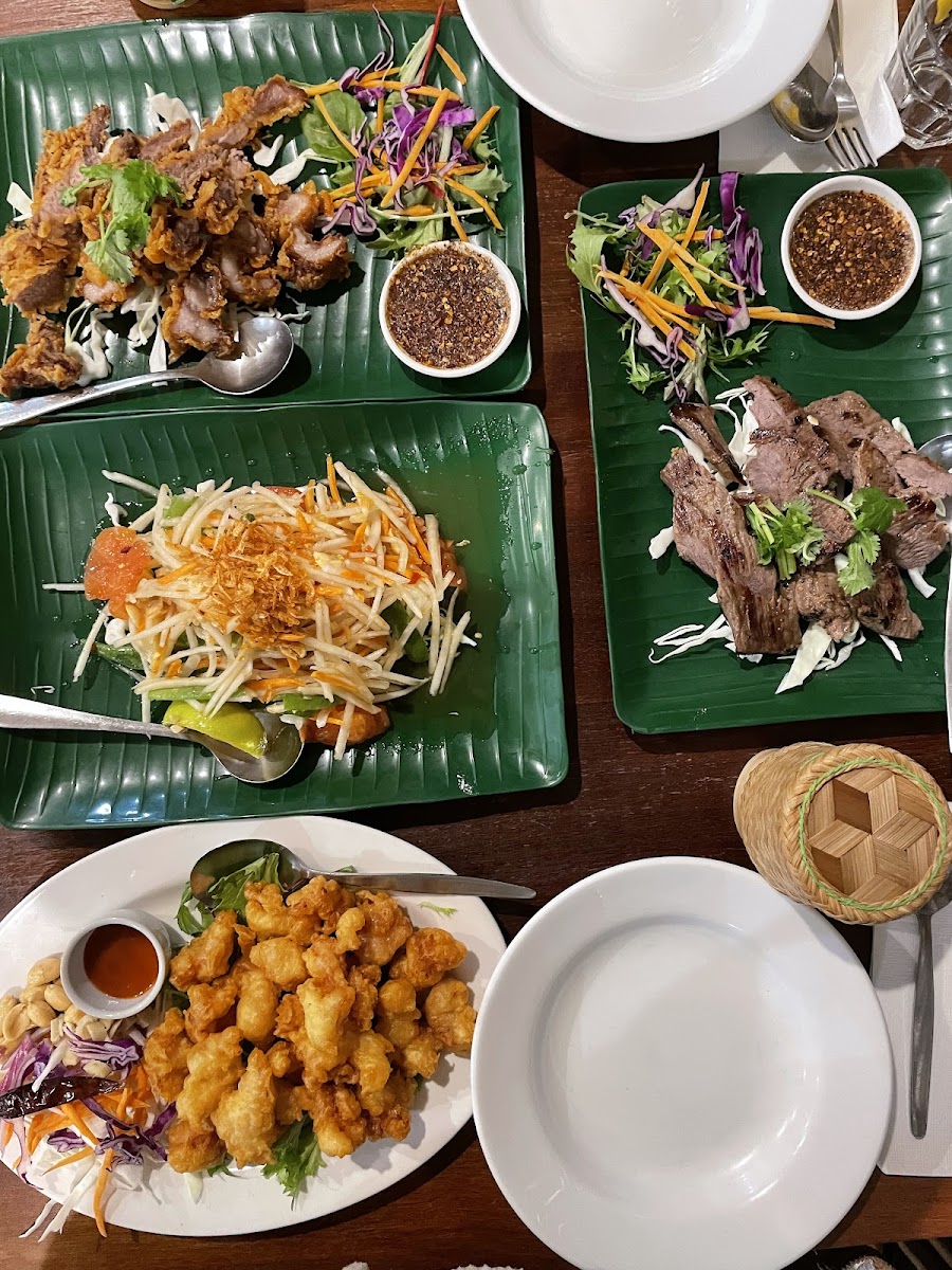 Green Papaya Thai Restaurant-9